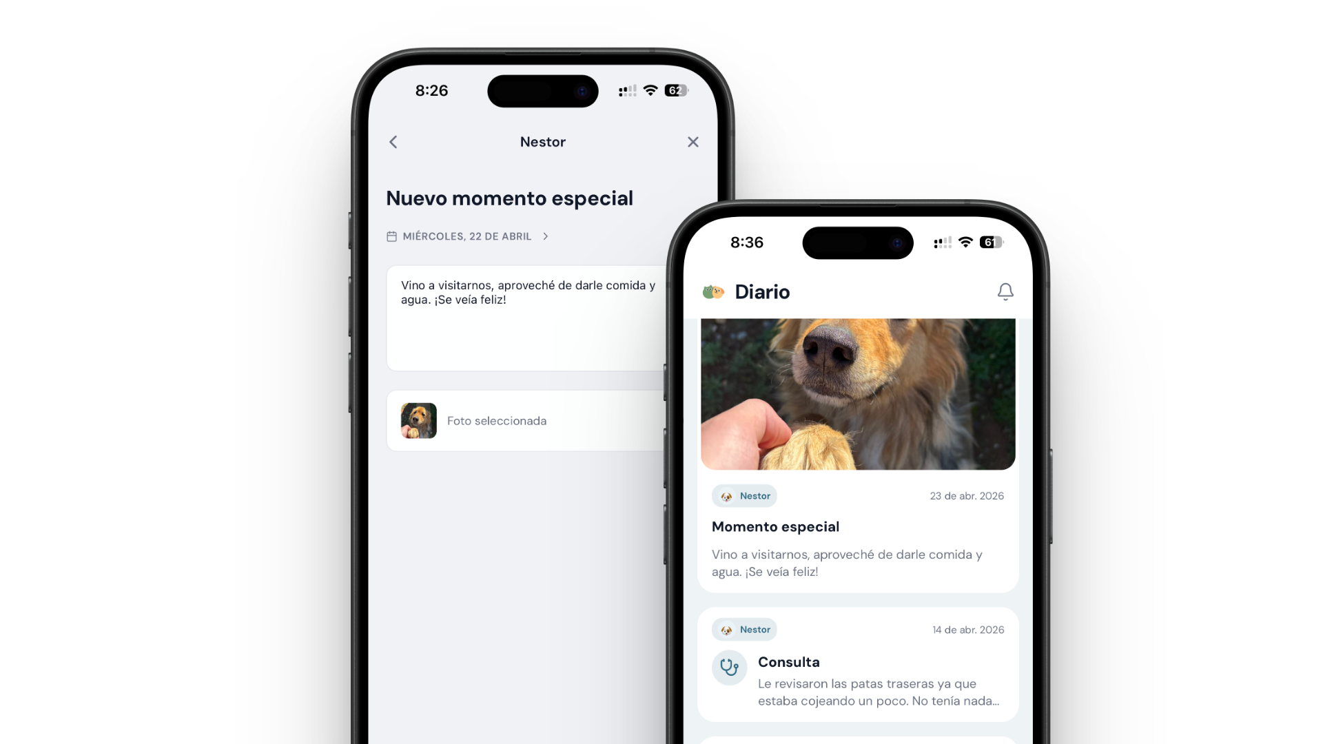 Mockup de la interfaz inicial mostrando la problemática de centralización de datos médicos de mascotas.
