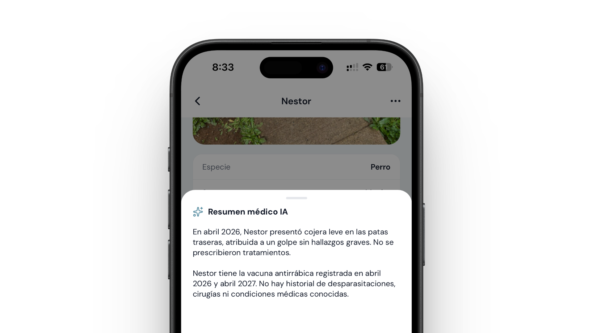 Proyección futura del ecosistema B2B integrando dueños de mascotas con servicios veterinarios.